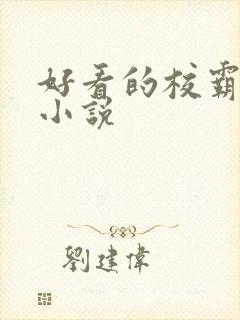 好看的校霸校园小说