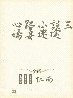 心路小说三部曲娇妻迷途