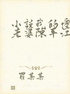 小说我的傻白甜老婆陈平江婉