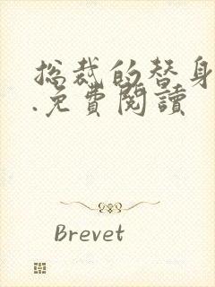 总裁的替身前妻.免费阅读封面