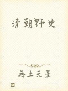 清朝野史
