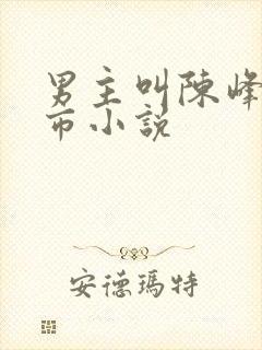 男主叫陈峰的都市小说