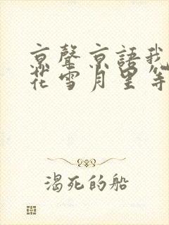 京声京语我在风花雪月里等你封面