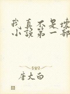 我真不是坏男人小说第一部