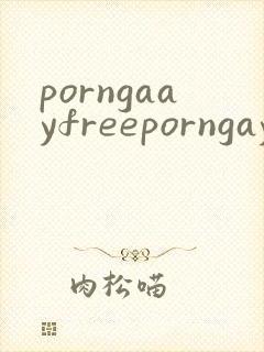 porngaayfreeporngayvideosboy