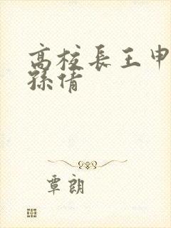 高校长王申赵振孙倩