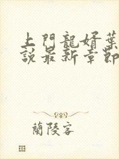 上门龙婿叶辰小说最新章节阅续