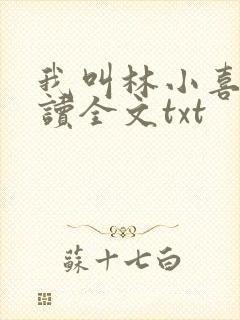 我叫林小喜全阅读全文txt