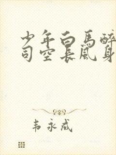 少年白马醉春风司空长风身世