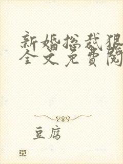 新婚总裁狠神秘全文免费阅读