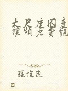 大尺度国产精品视频免费观看