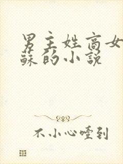 男主姓商女主姓苏的小说