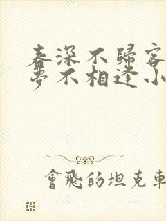 春深不归客,清梦不相逢小说