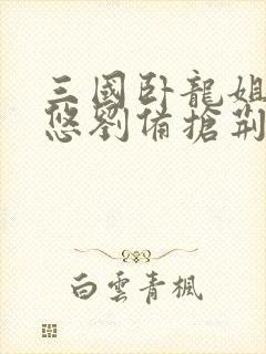 三国卧龙姐夫忽悠刘备抢荆州笔趣阁封面