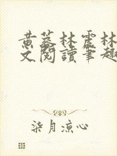 黄蓉林震林震全文阅读笔趣阁封面