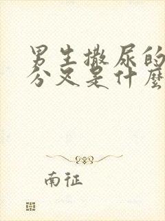 男生撒尿的时候分叉是什么原因