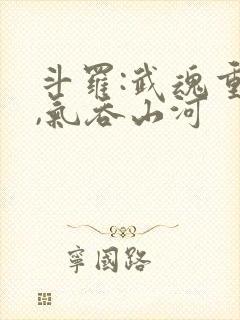 斗罗:武魂重瞳,气吞山河封面