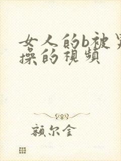 女人的b被男人操的视频