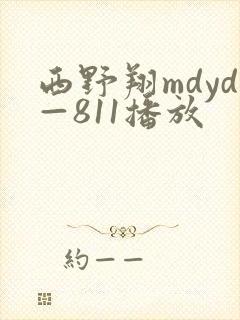 西野翔mdyd—811播放