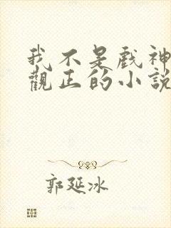 我不是戏神是三观正的小说吗