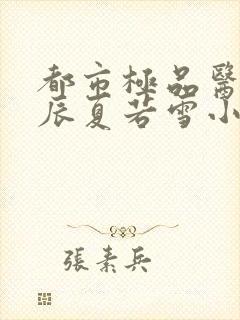 都市极品医神叶辰夏若雪小说免费