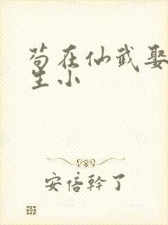 苟在仙武娶妻长生小封面