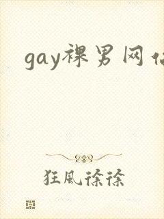 gay裸男网站