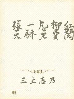 张一凡柳红官道天骄免费阅读笔趣阁封面