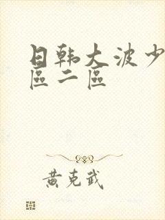 日韩大波少妇一区二区