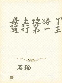 母上攻略 竹影随行第一主板