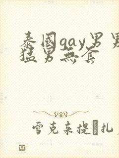 泰国gay男男猛男无套