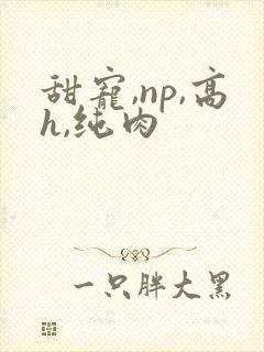 甜宠,np,高h,纯肉