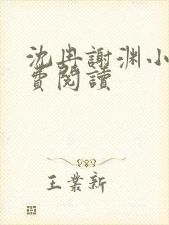 沈冉谢渊小说免费阅读