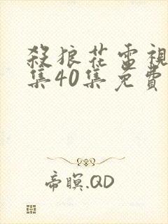 杀狼花电视剧全集40集免费观看