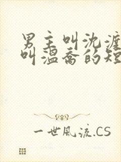 男主叫沈渡女主叫温乔的短剧