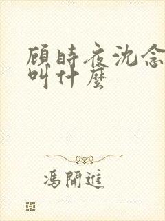 顾时夜沈念小说叫什么