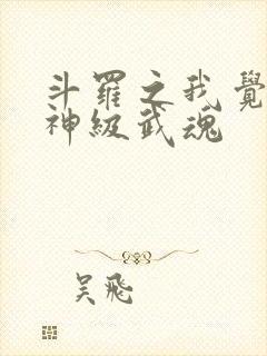 斗罗之我觉醒了神级武魂