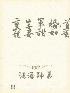 重生军婚,首长宠妻甜如蜜 小说