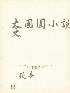 大团圆小说集全文