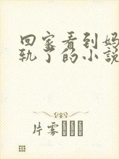 回家看到妈妈出轨了的小说叫什么