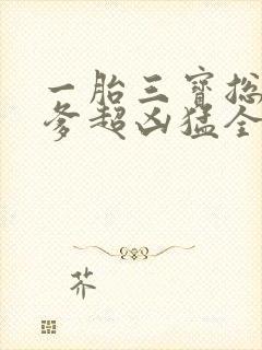 一胎三宝总裁爹爹超凶猛全文免费阅读封面