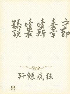 孙晴晴秦守仁小说最新章节更新内容封面