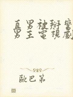 直男被掰弯的双男主电视剧