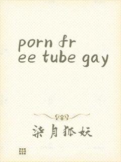 porn free tube gay