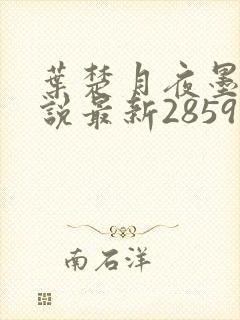 叶楚月夜墨寒小说最新2859