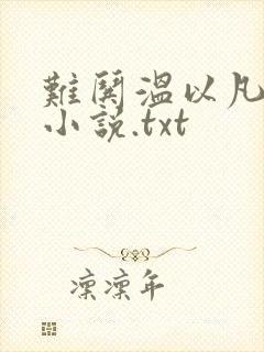 难哄温以凡桑延小说.txt封面