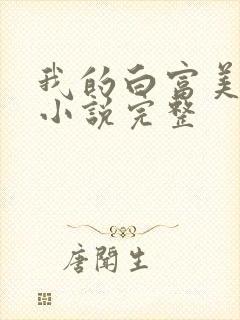 我的白富美老婆小说完整