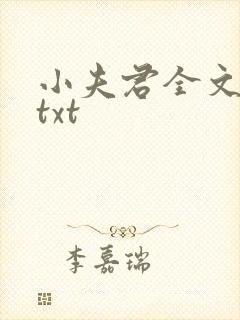 小夫君全文番外txt