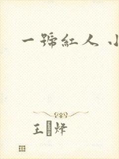 一号红人 小说