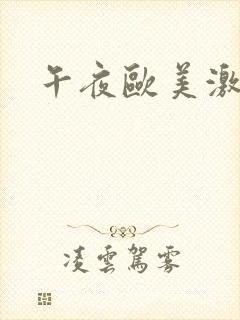 午夜欧美激情片